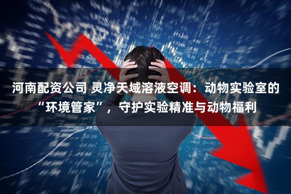 河南配资公司 灵净天域溶液空调：动物实验室的“环境管家”，守护实验精准与动物福利